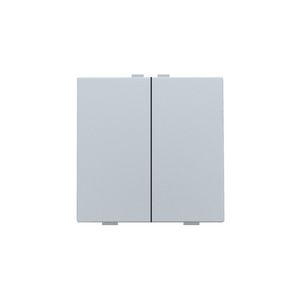 2-voudige drukknop Home Control sterling