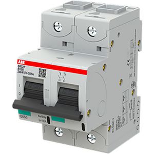 Installatieautomaat 50kA 100A B-karakteristiek 2-polig