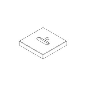 Rozet v. badinloop 60x60x9mm chr