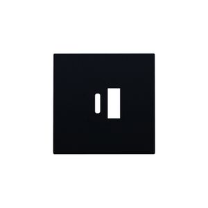 Afwerkingsset dubbele smart USB-A-/USB-C-lader black coated