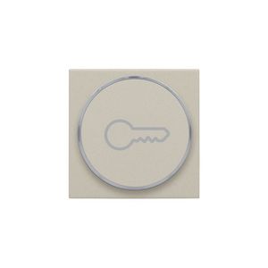 Afwerkingsset met doorschijnende ring met sleutelsymbool voor drukknop sand textured