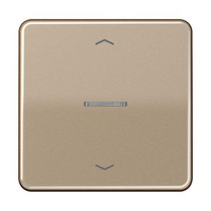 Stuurafdekking CD 1voudig goudbrons pijl HOME