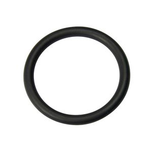 O-ring 3/4 0020246443