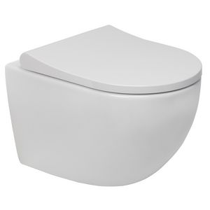 Wandcloset combipack X2 490mm incl. zitting softcloseQR Wit