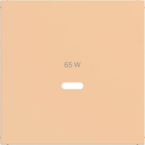 Centraalplaat voor USB-C-contactdoos, A.x/C.x, petal, mat