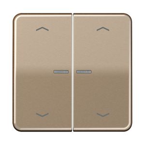 Stuurafdekking CD 2voudig goudbrons pijl HOME