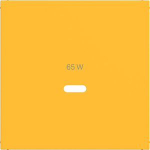 Centraalplaat voor USB-C-contactdoos, A.x/C.x, saffron, mat