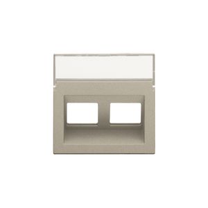 Centraalplaat data 2x RJ schuine uitgang champagne coated