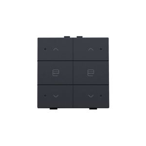 Dubbele motorsturingsbediening led Home Control anthrac
