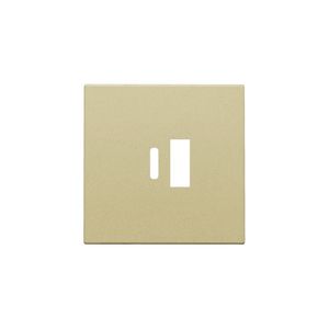 Afwerkingsset dubbele smart USB-A-/USB-C-lader gold coated
