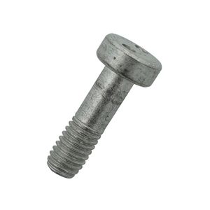 Antidiefstalschroef Screw M4x20 A2 Snake Eye