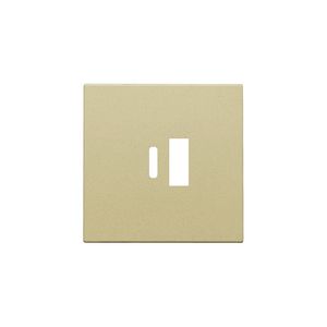 Afwerkingsset dubbele smart USB-A-/USB-C-lader gold coated