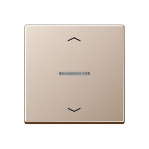 Stuurafdekking A500 1voudig champagne pijl HOME