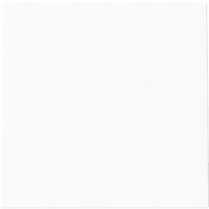 Centraalplaat 1 x uit boring 10mm art-matwit (1749-44M)