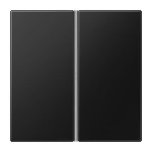 Tastafdekking F40 LS 2-voudig matzwart KNX/eNet