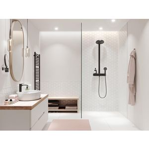 Pulsify Showerpipe 260 2 straalsoorten douche mat zwart 24240670