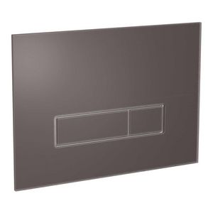 Bedieningsplaat Orbit EC 2-toets Glaslamin Terriccio matt TE