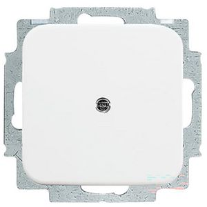 Centraalplaat blind met draagraam R-alpin wit (2538-214)
