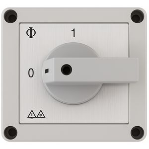 Werkschakelaar ws-4 w.c.