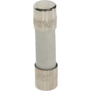 Zekering 5x20mm Fast Acting (5x)