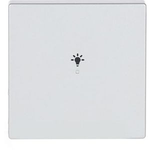 Free@Home bedieningswip 1-voudig licht f-aluzilver (6231-10-83)