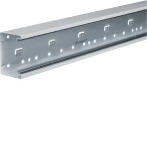 Bodemprofiel BRS 65x100mm 2m lichtgrijs VVE=2