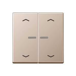 Stuurafdekking A500 2voudig champagne pijl HOME