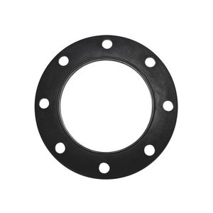 Flensdichting 0020122779