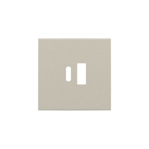 Afwerkingsset voor dubbele smart USB-A- en USB-C-lader sand textured