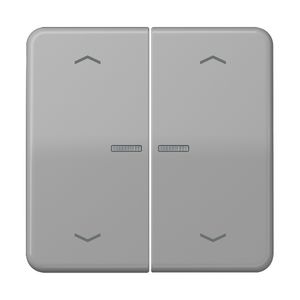Stuurafdekking CD 2voudig groen pijl HOME