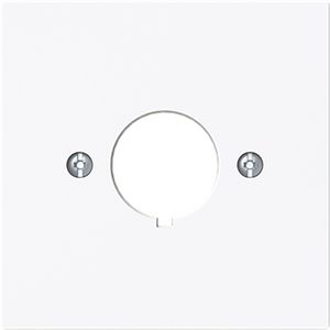 Centraalplaat boring 22.5mm art-wit (2533-44G)