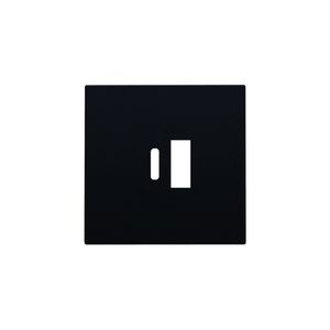 Afwerkingsset dubbele smart USB-A-/USB-C-lader black coated