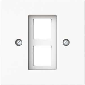 Centraalplaat 2x modular jack 216000-2/216005-4 art-matwit (2561-02-44M)