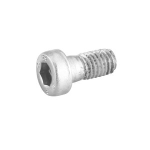 Bevestiging Cilinderschroef met binnenzeskant M5x10mm