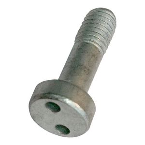 Antidiefstalschroef Screw M5 316 Pig nose socket