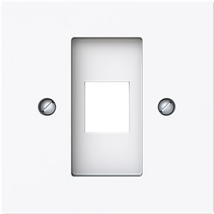 Centraalplaat 1x modular jack 216000-2/216005-4 art-wit (2561-44G)