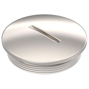 Schroefplug+O ring diam.45x12 Messing vernikkeld VVE=50