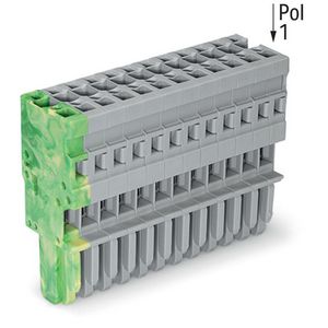 1-draads female steker CAGE CLAMP 4mm² grijs/groen-g VVE=20