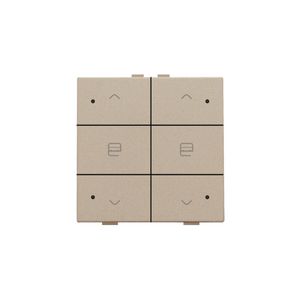 Dubbele motorsturingsbediening led Home Control champag