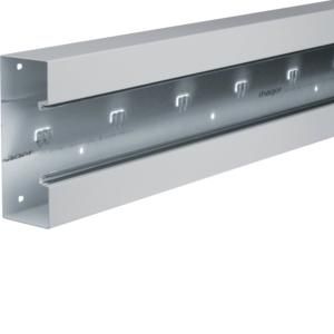 Bodemprofiel BRS 65x170mm 2m lichtgrijs VVE=2