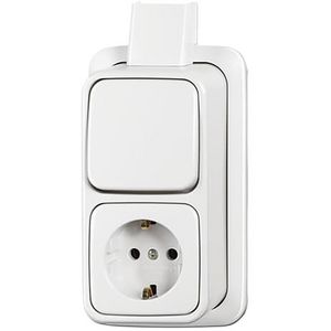 Combi schakelaar randaarde plaat opbouw 2609/2 APJ-COMB AP alpin wit