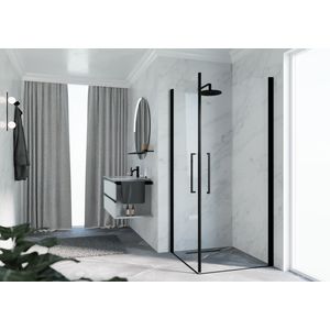 Hoekinstap YPLUS2G 1010-1030x2000mm zwart helder