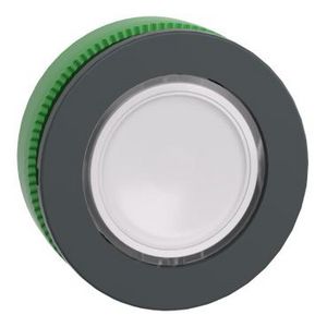 Flush mounted white Flush caps illum pushbutton head integr.