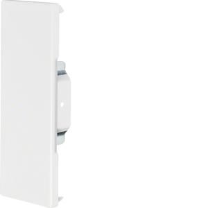 Eindplaat staal voor goot BRS 65x170mm helderwit