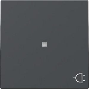 Wip ctrl.v. + sym.wandcontactdoos System 55 antraciet