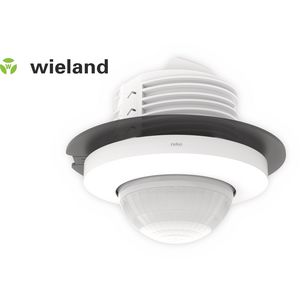 Aanwezigheidsmelder P47LR, DALI-2, master, 32-37 m, voor inb