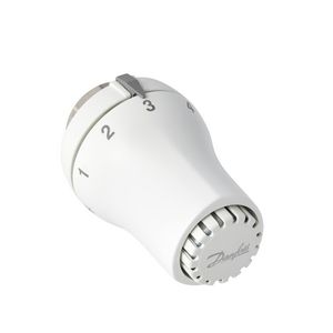 Thermostaatkop RAS-DK 5169 "0" BIS