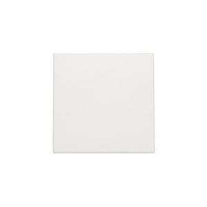 Spuitwaterdichte blindplaat white