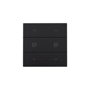 Dubbele motorsturingsbediening Home Control pianoblack