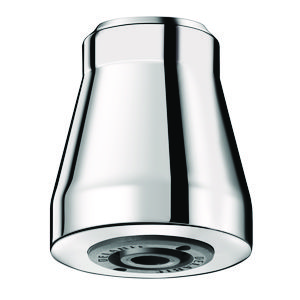 Douchekop vast plafond GYM chr. antidiefstal 1/2" bn. aansl.